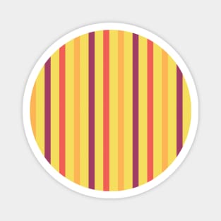 Aiden | Colorful Stripes Pattern Magnet